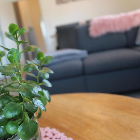 Ferienhaus Seehuis, Sauna, Angeln, Familienfreundlich Twist Kültér fotó
