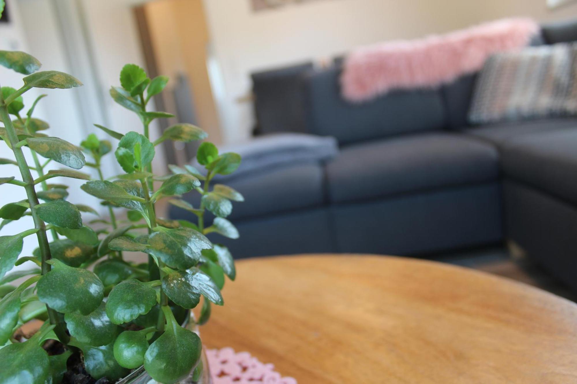 Ferienhaus Seehuis, Sauna, Angeln, Familienfreundlich Twist Kültér fotó